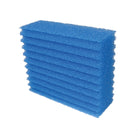 Vervangspons blauw BioSmart 18000-36000